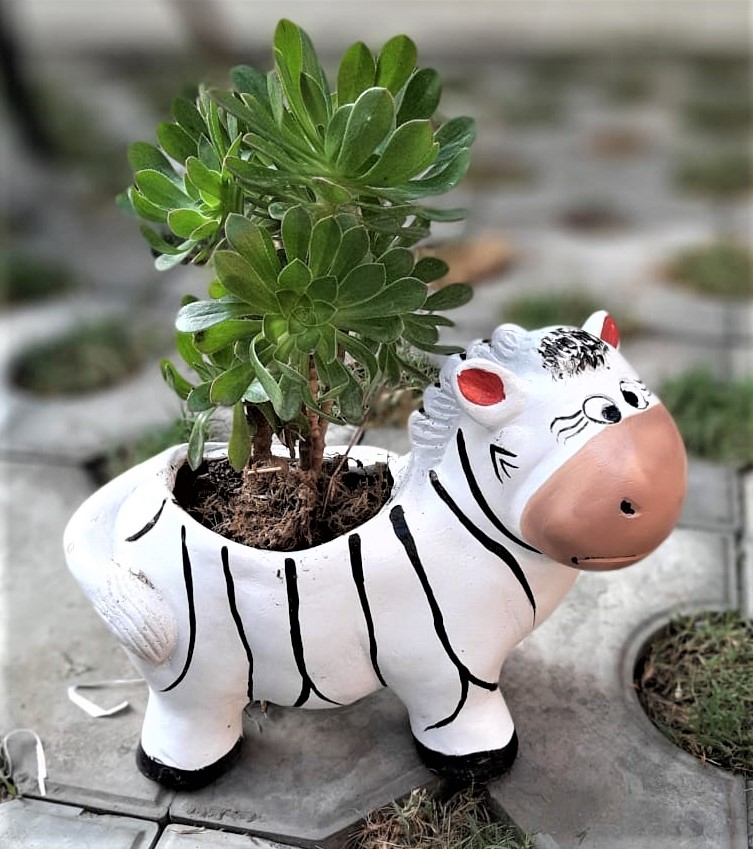 Zebra Pot