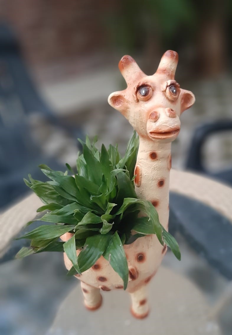 Baby Giraffe Pot