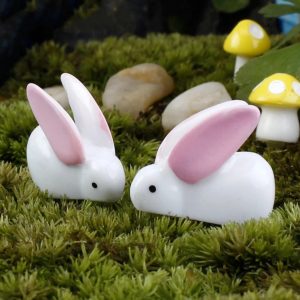 Mini Rabbit