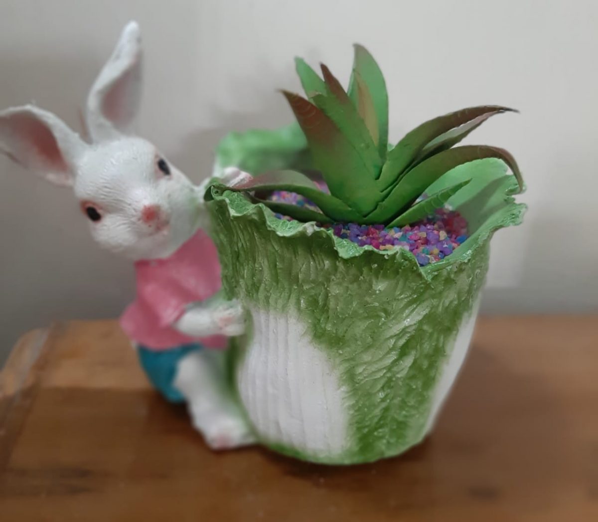 Bunny Holding Cabbage