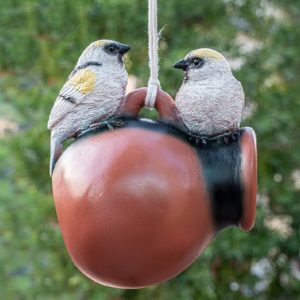 Pitcher Pot (Double Hemp Bird House)