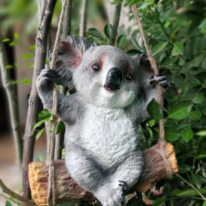 Koala on Swing
