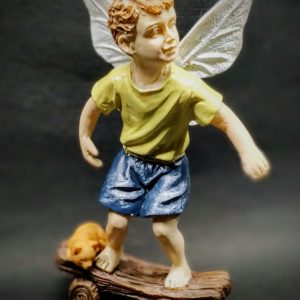 Fairy Boy Skating
