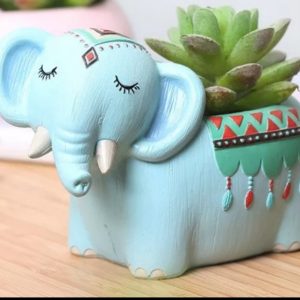 Mini Elephant Pot