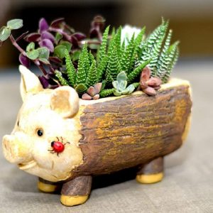 HedgeHog Pot