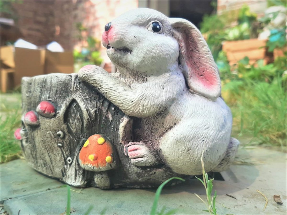 Bunny Bonsai Tray Small