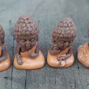 Monks - Buddhas