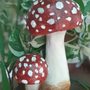 Mushroom Decor