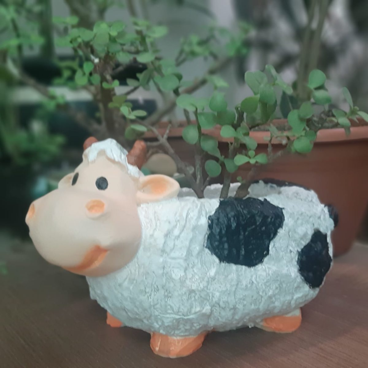 Cow Planter
