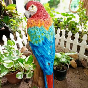 Macaw