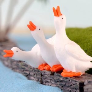 Duck New White