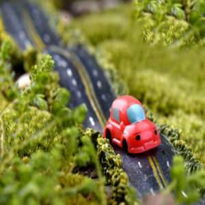 Miniature Car