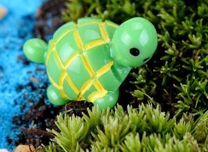 Polyresin Turtle - (Pack of 1) for Fairy Garden / Bonsai Decor / Terrarium Decor / Home Decor / Kids Room / Outdoor / Garden Decor and Best for Gifting