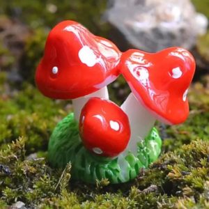 Tri Mushroom - (Pack of 1)