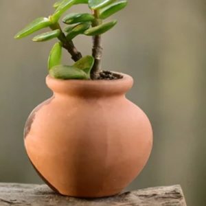 Terracotta Matki - Brown