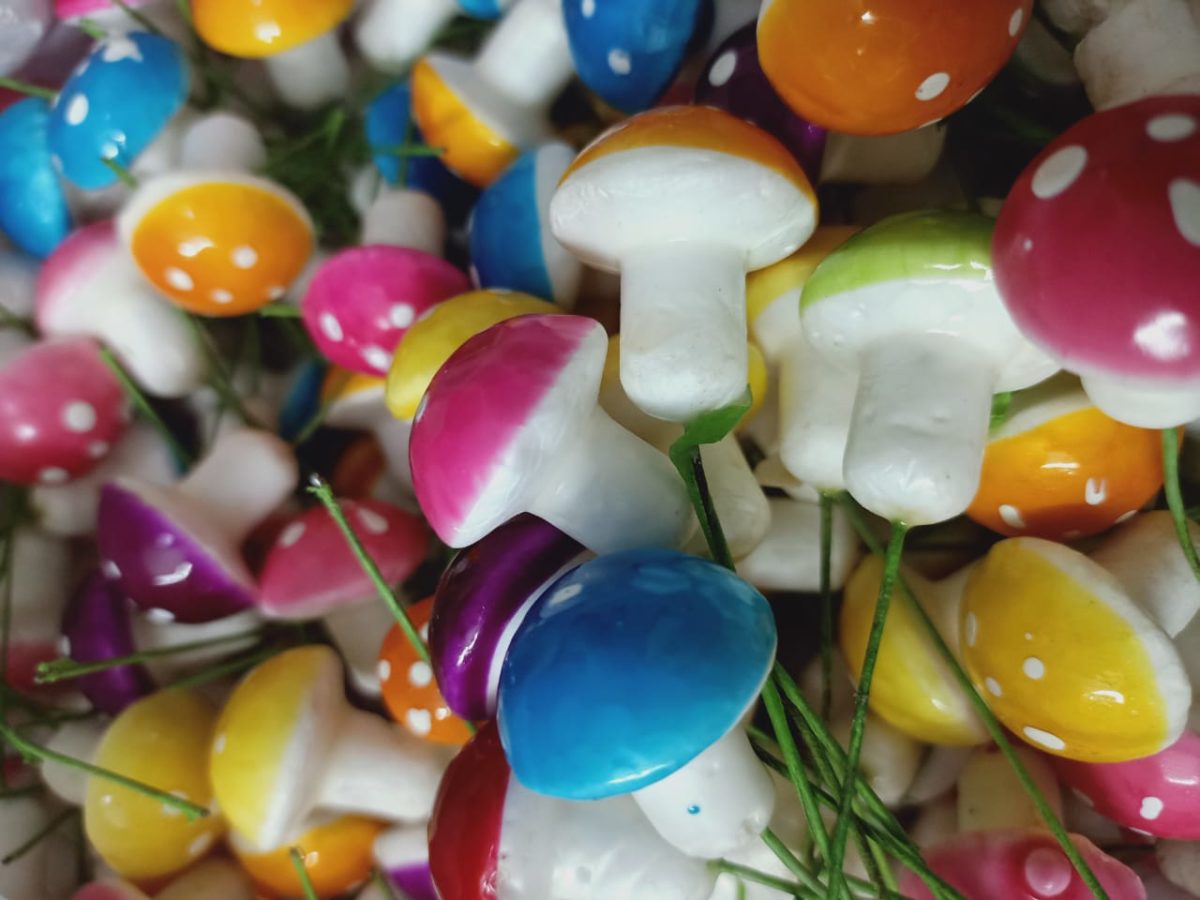 Colorful Pin Mushrooms