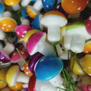 Colorful Pin Mushrooms