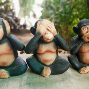 Monkey Set of 3
