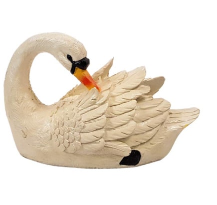 Back Swan