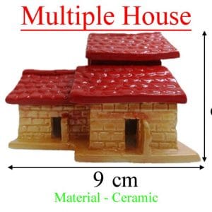 Multiple House